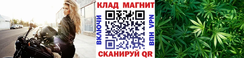 Купить наркотики Гдов гидра ТОР  МЕФ  Конопля  Alpha-PVP 