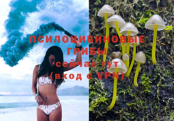 прущая мука Алексин