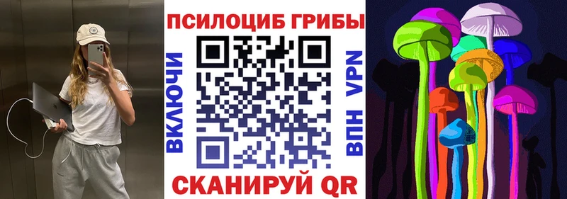Галлюциногенные грибы Psilocybine cubensis  Гдов 